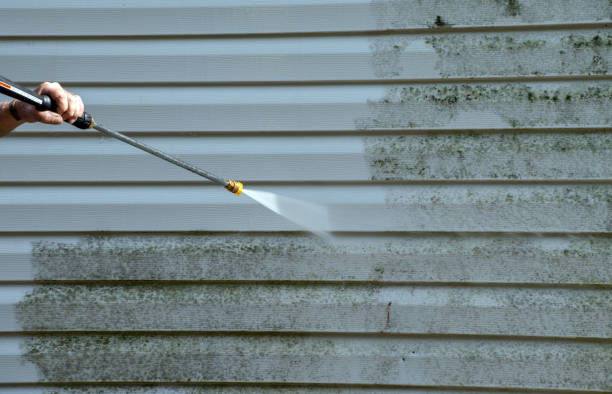 Best Fence Cleaning and Maintenance in Nd Point, WI